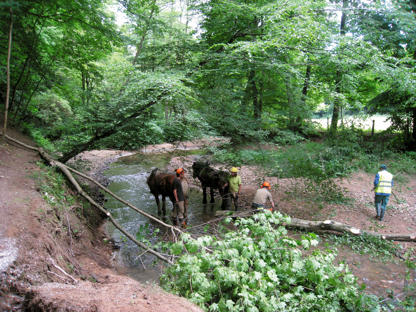 Des épis de troncs entiers à Tassin-la-Demi-Lune et à Craponne